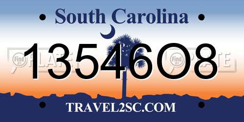 13546O8 South Carolina License Plate