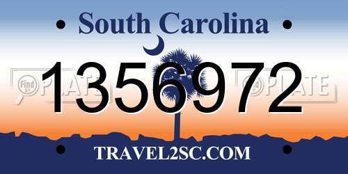 1356972 South Carolina License Plate