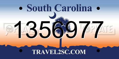 1356977 South Carolina License Plate
