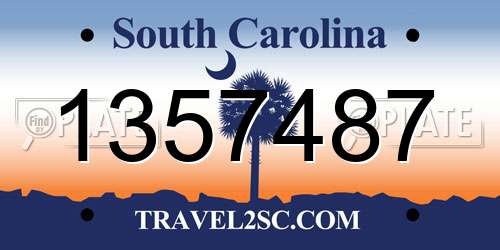 1357487 South Carolina License Plate