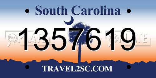 1357619 South Carolina License Plate