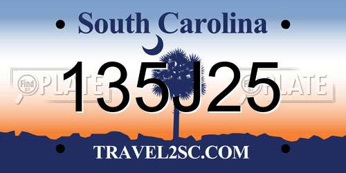 135J25 South Carolina License Plate