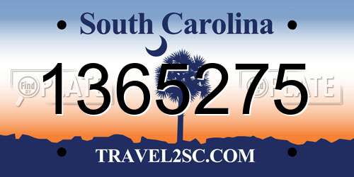 1365275 South Carolina License Plate