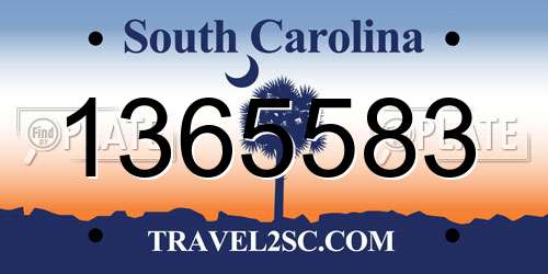 1365583 South Carolina License Plate