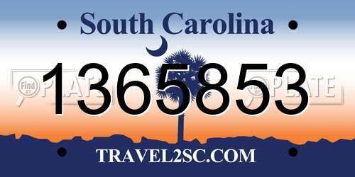 1365853 South Carolina License Plate
