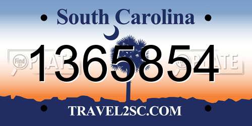 1365854 South Carolina License Plate