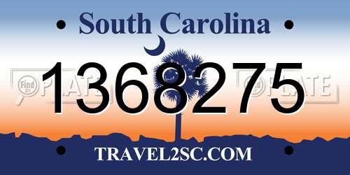 1368275 South Carolina License Plate