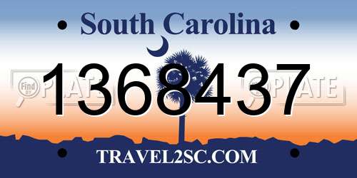 1368437 South Carolina License Plate