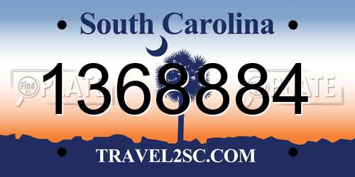 1368884 South Carolina License Plate