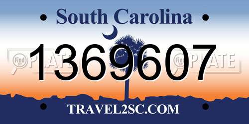 1369607 South Carolina License Plate