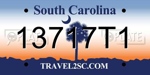 13717T1 South Carolina License Plate