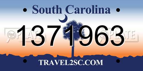 1371963 South Carolina License Plate