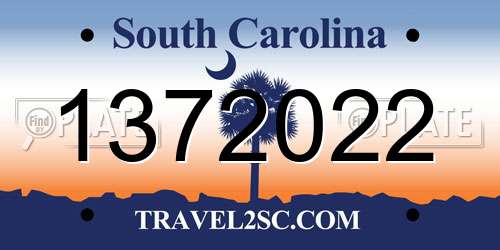 1372022 South Carolina License Plate