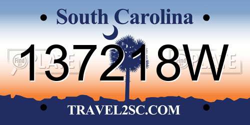 137218W South Carolina License Plate