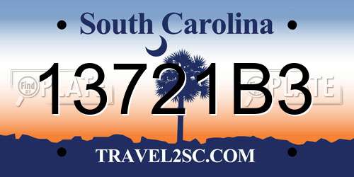 13721B3 South Carolina License Plate