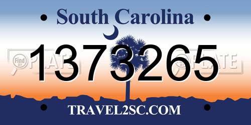 1373265 South Carolina License Plate