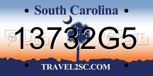 13732G5 South Carolina License Plate
