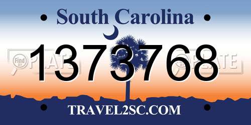1373768 South Carolina License Plate