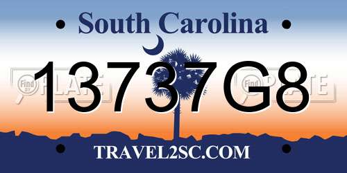 13737G8 South Carolina License Plate