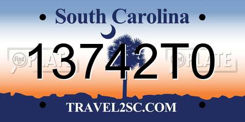 13742T0 South Carolina License Plate