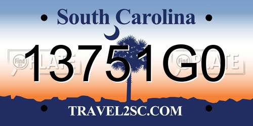 13751G0 South Carolina License Plate