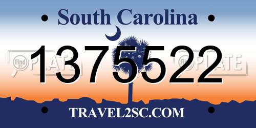 1375522 South Carolina License Plate