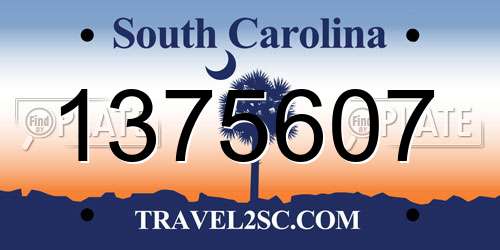 1375607 South Carolina License Plate