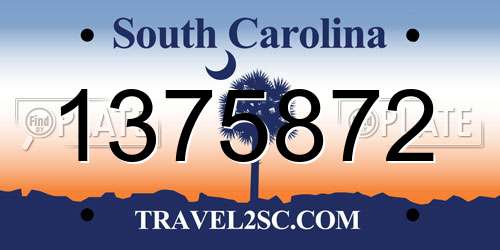 1375872 South Carolina License Plate