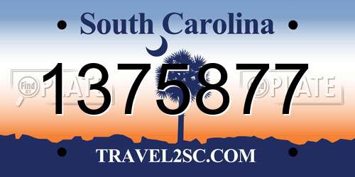 1375877 South Carolina License Plate