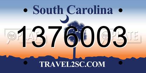 1376003 South Carolina License Plate