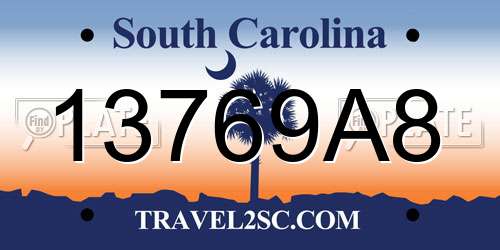 13769A8 South Carolina License Plate