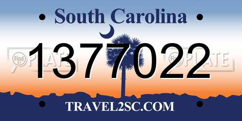 1377022 South Carolina License Plate