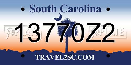 13770Z2 South Carolina License Plate
