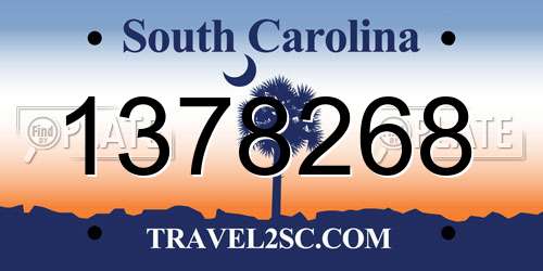 1378268 South Carolina License Plate