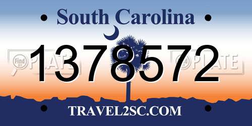 1378572 South Carolina License Plate