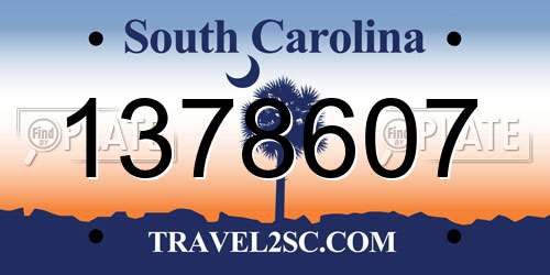1378607 South Carolina License Plate