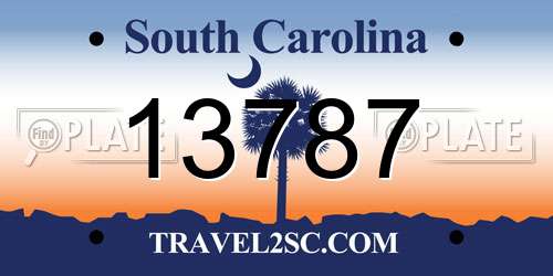13787 South Carolina License Plate