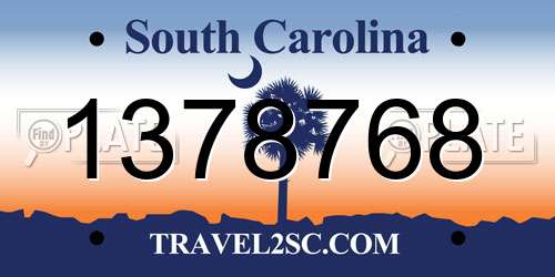 1378768 South Carolina License Plate