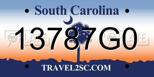 13787G0 South Carolina License Plate