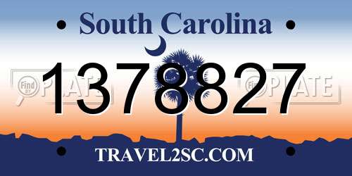 1378827 South Carolina License Plate