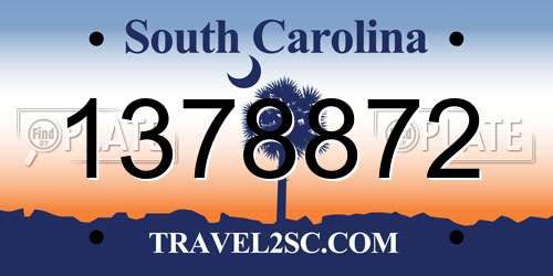1378872 South Carolina License Plate