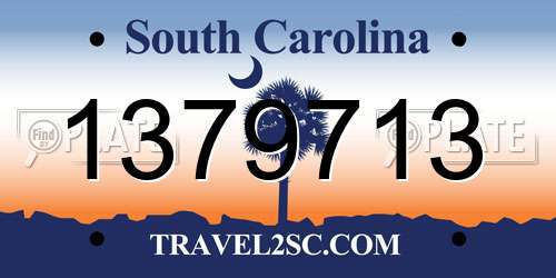 1379713 South Carolina License Plate