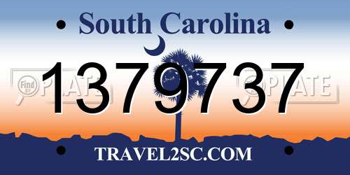 1379737 South Carolina License Plate