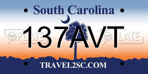 137AVT South Carolina License Plate