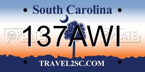 137AWI South Carolina License Plate