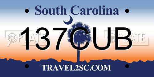 137CUB South Carolina License Plate