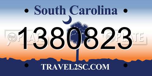 1380823 South Carolina License Plate