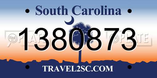 1380873 South Carolina License Plate