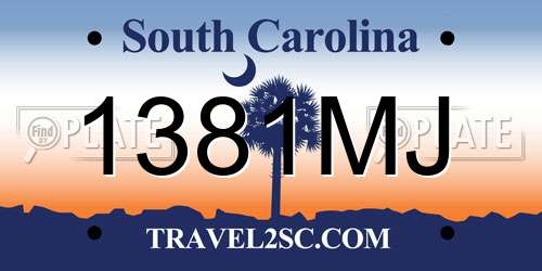 1381MJ South Carolina License Plate