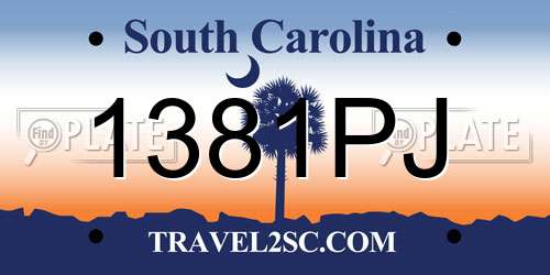 1381PJ South Carolina License Plate